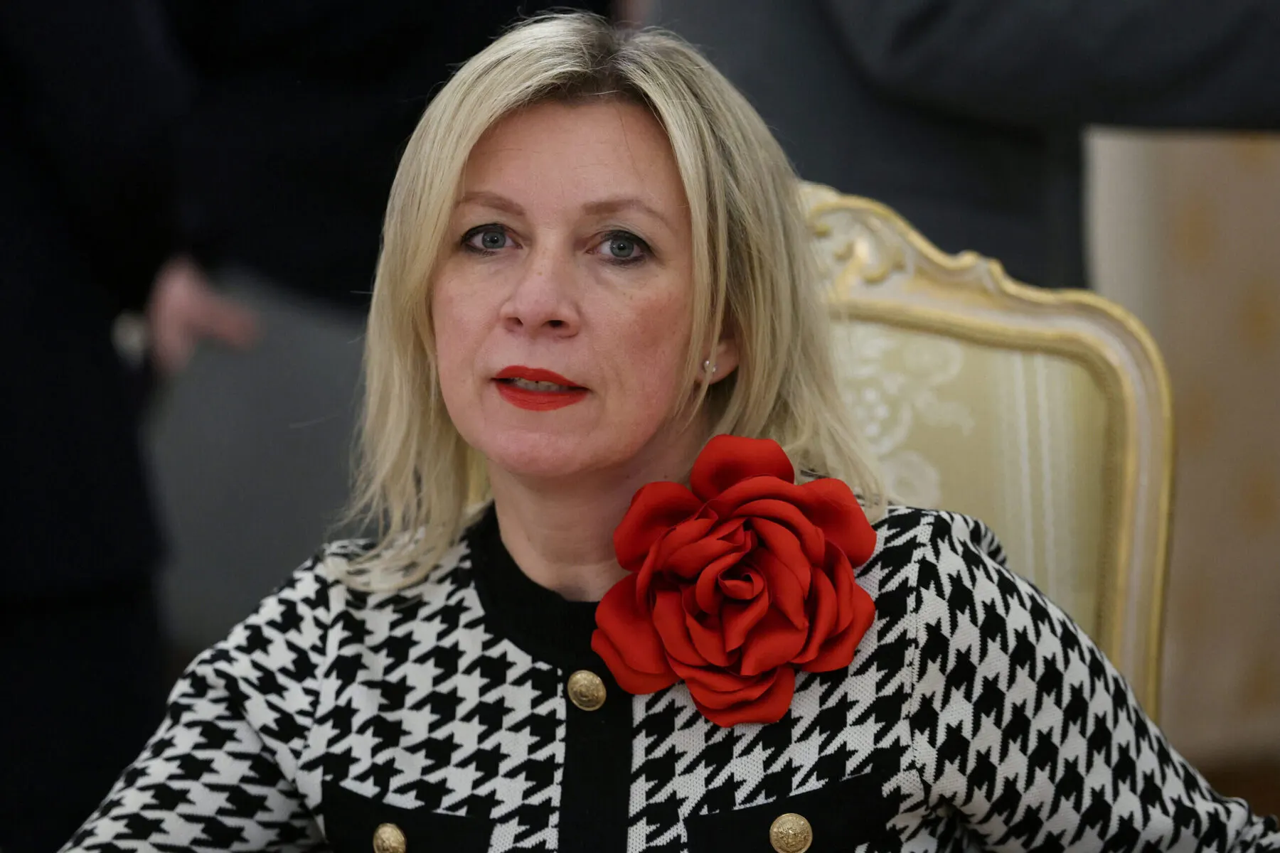 Официальный представитель МИД РФ Мария Захарова на международном форуме о традиционных ценностях процитировала ряд высказываний о русском языке, приписав их известным учёным и писателям. Проверка показала, что часть этих цитат в трудах указанных авторов не обнаруживается и напоминает пересказ, характерный для текстов, созданных ИИ.