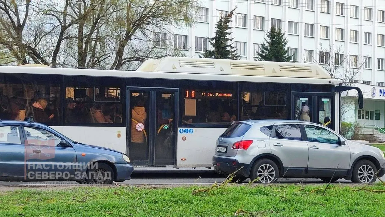 Жители жалуются на массовые срывы автобусных рейсов и дефицит водителей; по данным областного Минтранса, нехватка кадров достигает 35%, проверки ведут прокуратура и ФАС.
