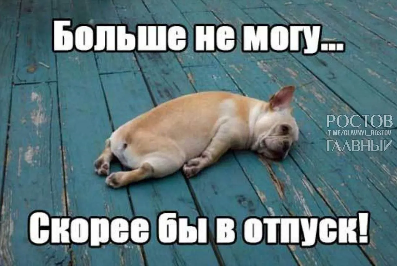 Депутаты предлагают поднять минимальную продолжительность ежегодного отпуска с 28 до 35 дней, чтобы компенсировать включённые в отпуск выходные и снизить риск профессионального выгорания.