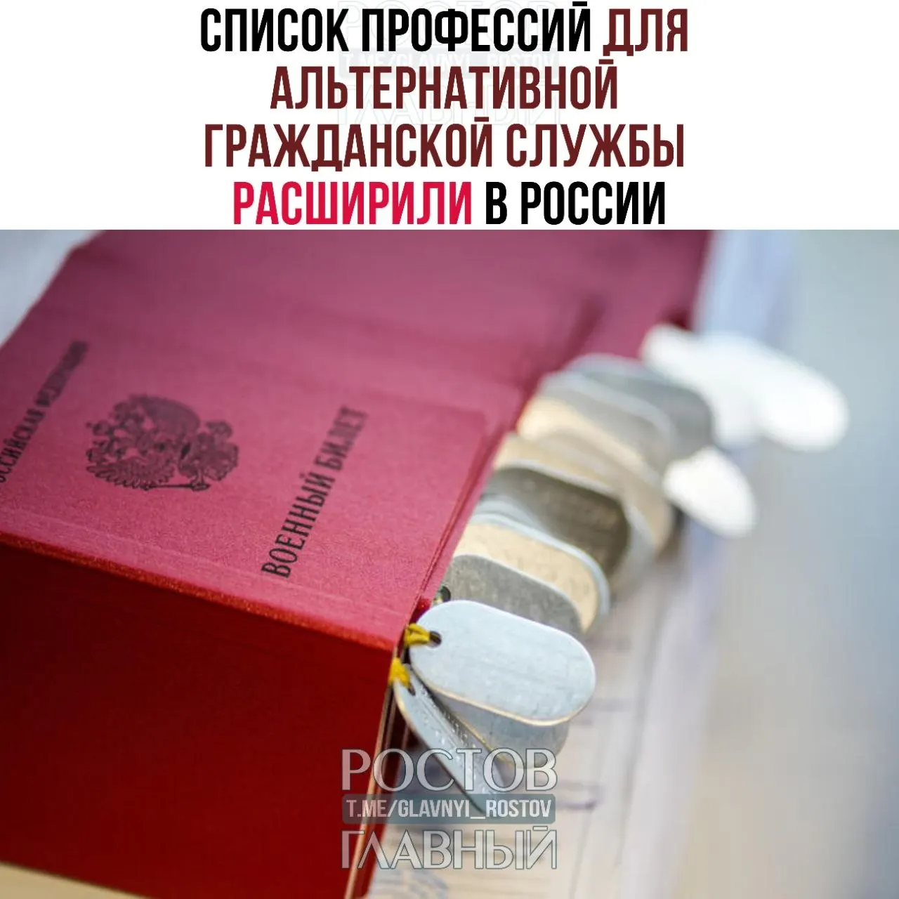 Перечень профессий для прохождения альтернативной гражданской службы увеличен с 271 до 363 направлений: в него добавлены врачи, ремесленники и технические специалисты.
