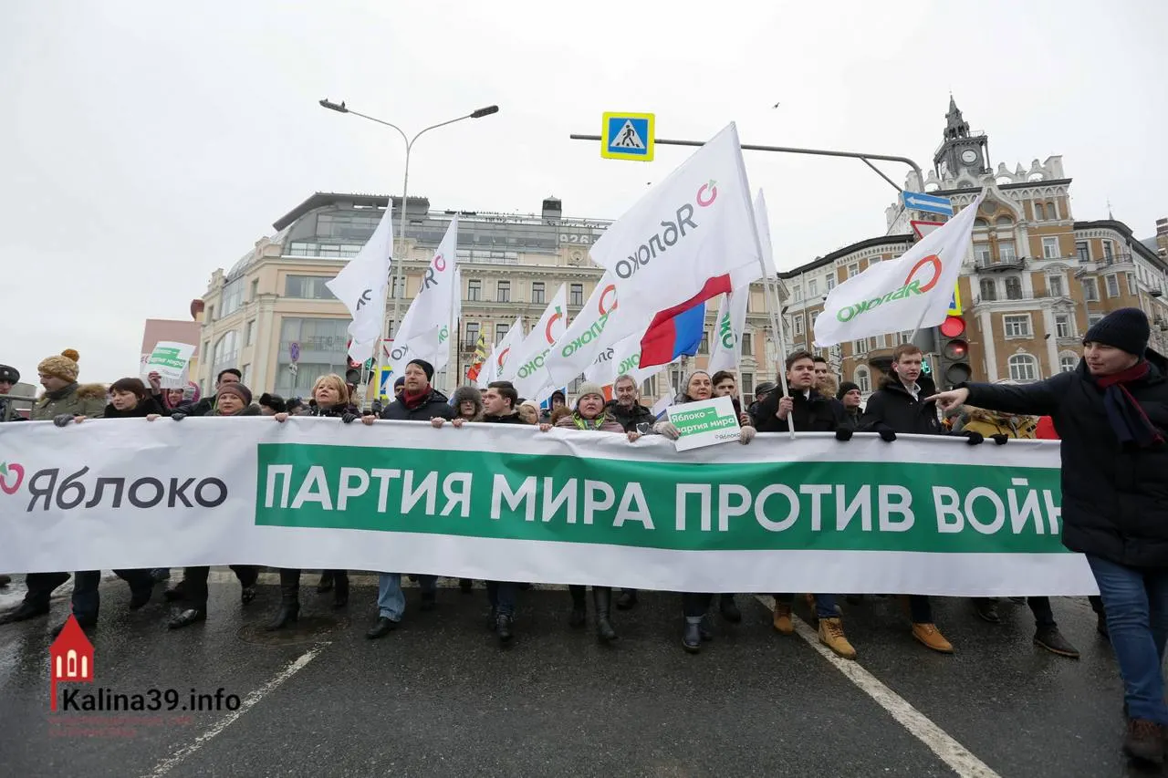 Эксперты считают, что регистрация федерального списка «Яблока» может служить способом канализации протестных настроений: недовольным предлагают безопасную легальную форму выражения позиции, тогда как часть известных партийных политиков были отстранены от участия.