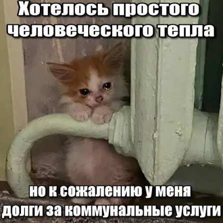 ВС признал, что задолженности по капитальному ремонту со сроком исковой давности более трёх лет нельзя указывать в платёжных документах — это защищает должников от принудительного исполнения требований.
