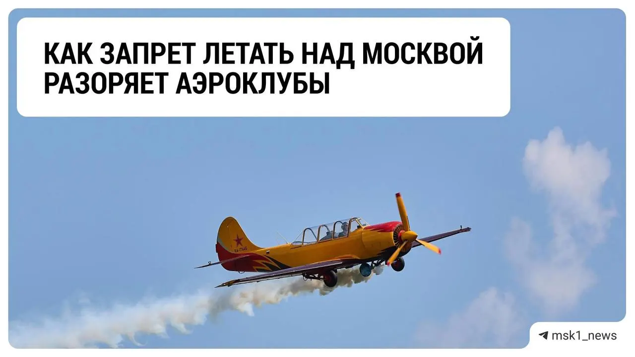 Ограничения на полёты и меры против дронов привели к финансовому кризису аэроклубов Подмосковья: доходы падают, а перспективы неопределённы.