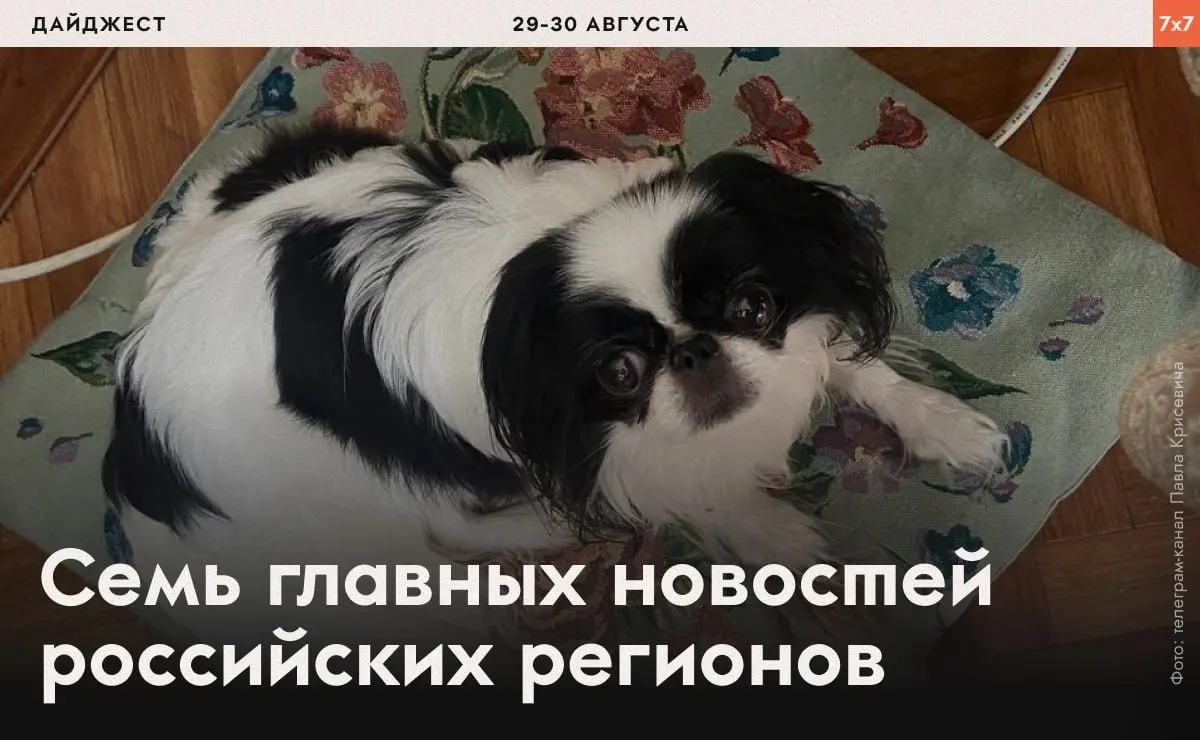 Обзор инцидентов: принуждения к физическим упражнениям, проверки в индустрии услуг, ограничения агитации, жалобы на действия силовых структур и региональные запреты.