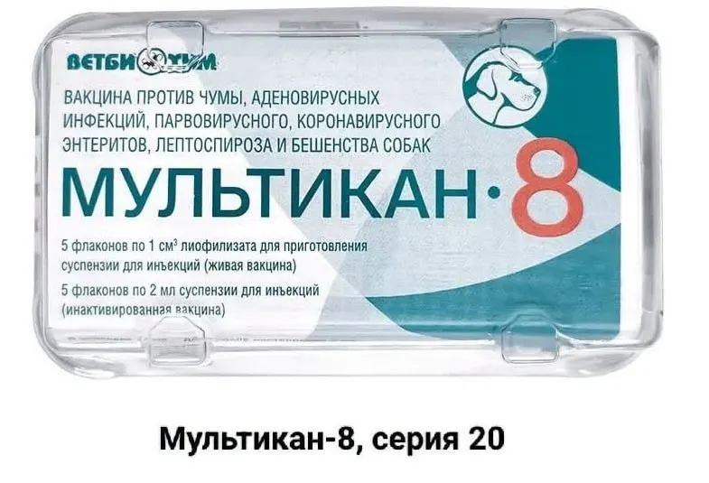 Родственники собак, умерших после вакцинации препаратом Мультикан-8, требуют открытого расследования и проверки вакцины; случаи гибели зафиксированы в нескольких регионах, производство вакцины может быть предметом проверки.
