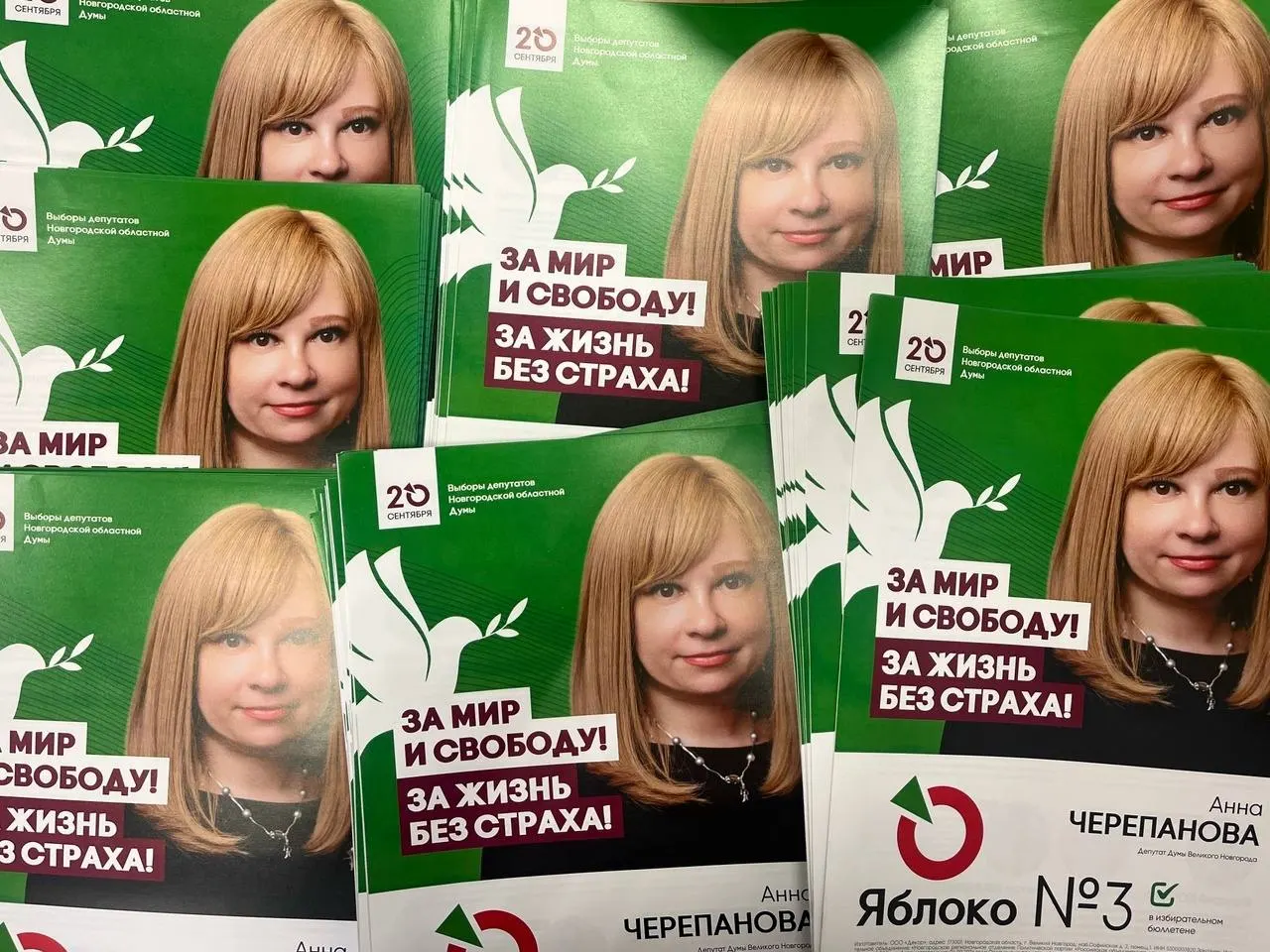 Региональное отделение партии заявило о давлении на руководство местного отделения и кандидатку Анну Черепанову; ранее её оштрафовали за демонстрацию символики, и если штраф вступит в силу — она не сможет участвовать в выборах.
