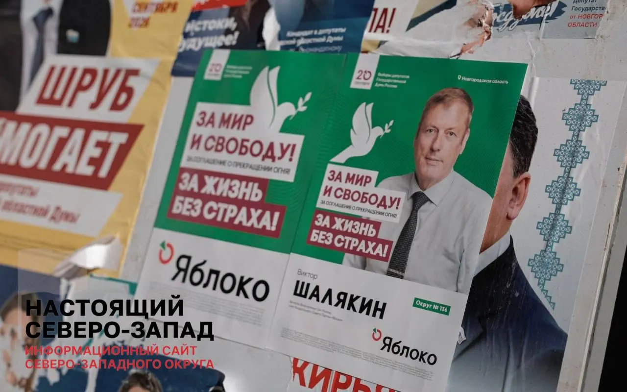 На региональных выборах в Новгородской области сохранён партийный список Яблоко под номером 3; лидер местного отделения снята с выборов, однако список зарегистрирован, кандидаты участвуют по округам и в Госдуму.