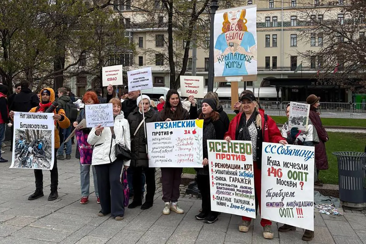 Рассматриваем, почему экологические темы редко становятся основой партийной программы в России и какие движения пытаются продвигать экологические идеи.