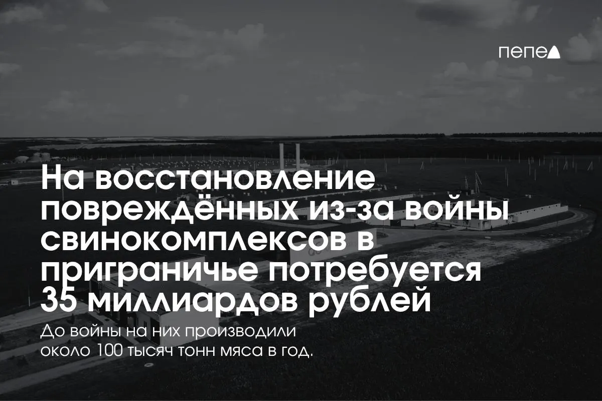 В приграничных регионах оценивают ущерб и будущие расходы на восстановление свиноводческих предприятий после атак.